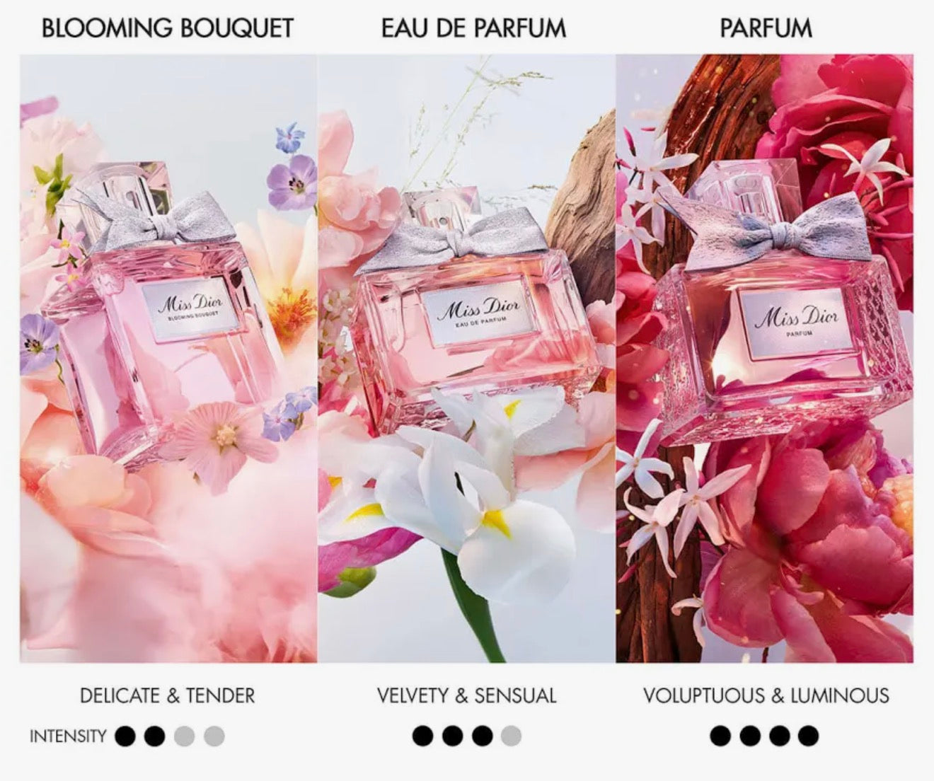 Miss Dior